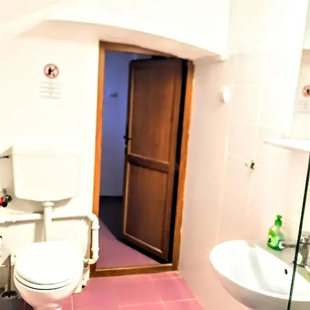 Гостьовий будинок (adults Only)