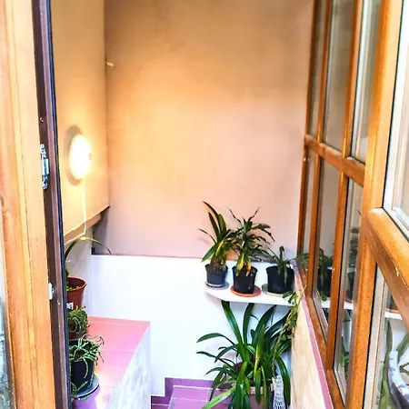 (adults Only) 3* Бухарест