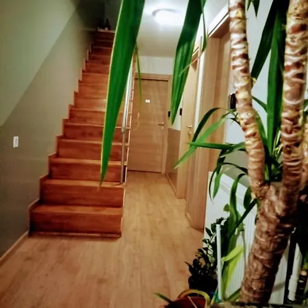 Vendégház (adults Only) 3*