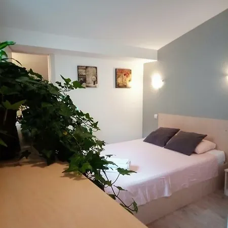 Pensiune (adults Only) 3*
