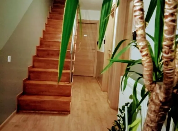 Guest house (adults Only) 3*